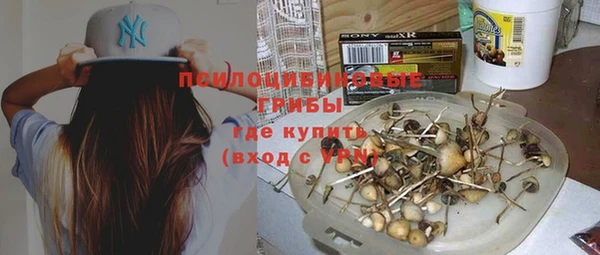спайс Алексеевка