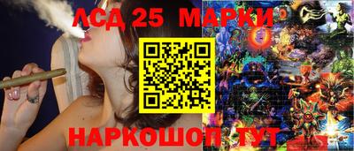 шишки Абинск