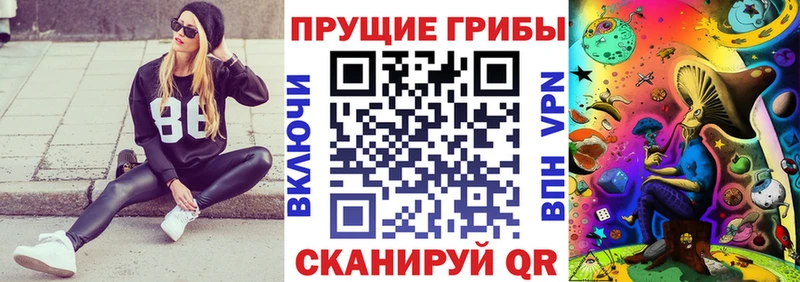 Псилоцибиновые грибы Cubensis  Анжеро-Судженск 