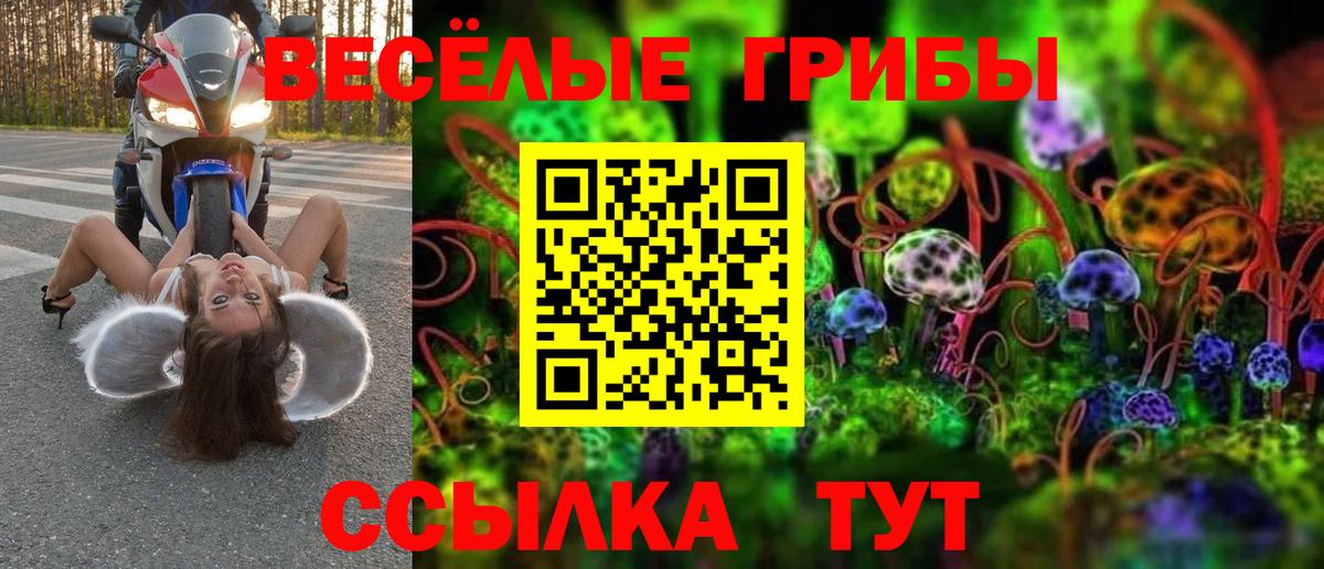 наркотики  Вход с VPN  Анжеро-Судженск  Галлюциногенные грибы Magic Shrooms  Псилоцибиновые грибы Cubensis 