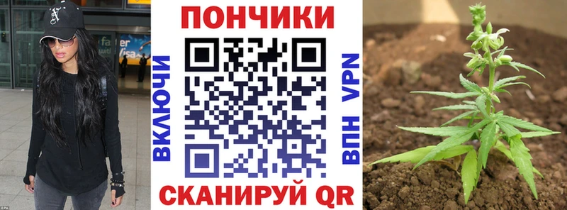 купить наркотик  Анжеро-Судженск  Бошки марихуана VHQ 